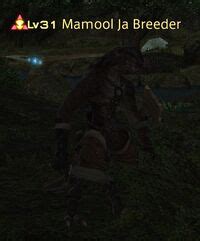 mamool ja breeder